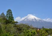 03 MAJESTIC MOUNT FUJI by Greta Gardner