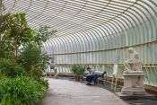 08 A MOMENT IN BOTANICAL CONSERVATORY by Tanvir Van Dal