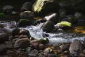 34 ROCKY RIVER by Ted Tarczycki