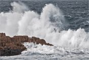 41 RACE AGAINST THE TIDE by Patricia Jones EFIAP MPAGB APAGB