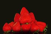 53 STRAWBERRIES by Ted Tarczycki
