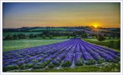 40 SUNSET OVER LULLINGSTONE by Mick Dudley