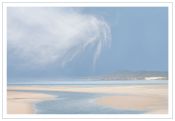 47 CREEPING CLOUD by Patricia Jones.