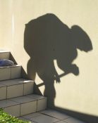 67 HUNCHBACK by Denise Barrett - HIGHLY COMMENDED