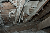 The roof space at the start