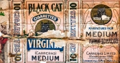 Black Cat cigarette packet found tucked away