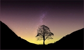 23 GONE BUT NOT FORGOTTEN by Peter Humphrey - PREMIER AWARD PDI