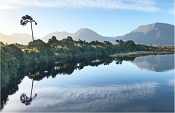 01 MORNING TURNBULL RIVER by Susan Wilkinson