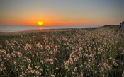03 QUIBERON SUNSET by Anne Roberts