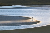 32 LAST DIP OF THE DAY by Patricia Jones