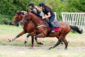 40 TRAINING AT SHOVELSTRODE STABLES by Derek Medhurst