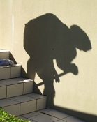 48 HUNCHBACK by Denise Barrett