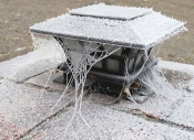 10 COBWEBS DURING HOAR FROST by Denise Barrett