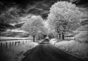 29 THE ROAD TO EAGLE HIEGHTS by Mick Dudley