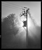 40 Morning Power Grab by Peter Dillon