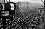 41 Tracks by Peter Dillon