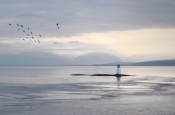 43 ISLE OF MULL LIGHTHOUSE by Peter Humphrey - PREMIER AWARD