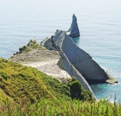 56 GANNET POINT by Susan Wilkinson