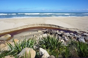 57 SCOTT'S BEACH by Susan Wilkinson