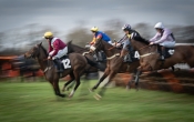 At a Gallop