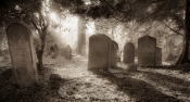 Goodbye to the Light of Life