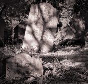 In Memory Of