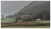 Misty Mull
