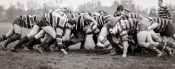 Scrum Down