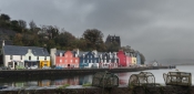 Tobermory in the Rain
