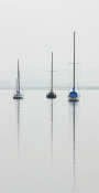 SAILING BOATS ON THE SWALE by John Dutton