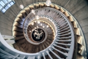 Nautilus