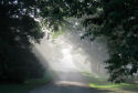 Early morning mist, Scotney