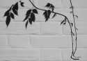On the wall