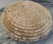 SOURDOUGH SUCCESS