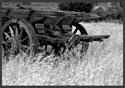 Australian Wagon