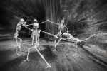 If You go Down to the Woods Tonight..
