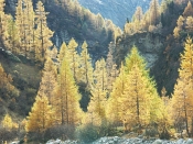 A BRUSH OF COLOUR by Herbert Inglin