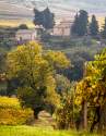 Autumn in Chianti 