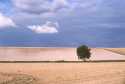 Wiltshire Downs nr. Aldbourne, Wiltshire