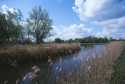 Wicken Fen, Cambridgeshire
