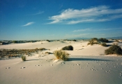 WHITE SANDS NATIONAL PARK, NEW MEXICO